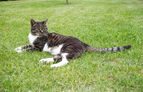 Gästehaus Roggenhorst - aufwändig saniertes Haus, 200 qm Wohnfläche, 3 Bäder - Foto 37