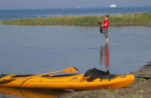 Apartment Fewo Bootsscheune by Interhome - Foto 18