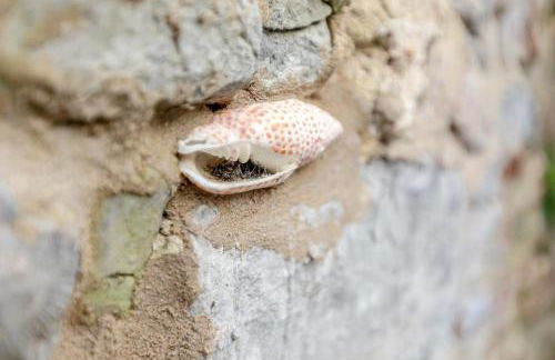 2 Bed in Lyme Regis oc-r34479 - Foto 20