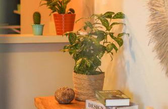 Costa Solar Lagoa - Foto 30