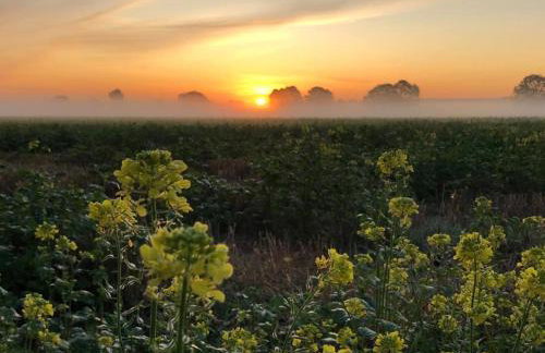 Fullers Hill Cottages - Foto 15