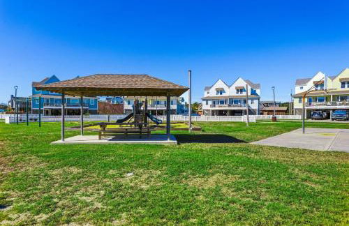 CAC-23B - Zebrafish - Foto 36