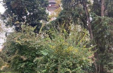 Encantador apartamento céntrico en Barrio Salamanca, junto a WiZink Center Movistar Arena y Plaza de Toros Las Ventas - Foto 39