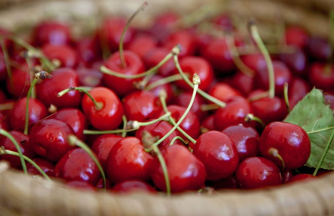 Countryside Getaway near River & Sea - Foto 21