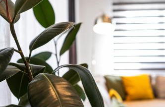 AEGLI Central Luxury Apartment - Foto 38