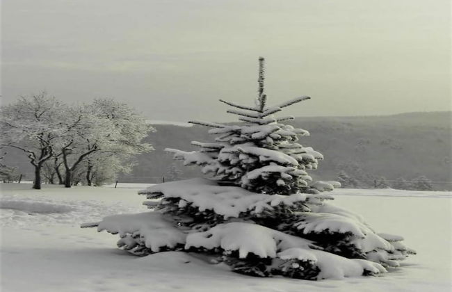 Beautiful Holiday Home in Waxweiler With Pool - Photo 73