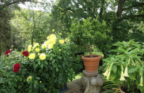 Ferienhaus Haus am Wald - Foto 4