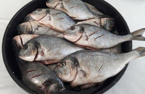 Apartman Taja - Foto 42