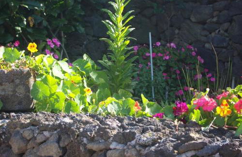 Quinta dos Afectos - Photo 18