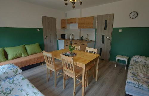 Apartament u Krystynki - Foto 16