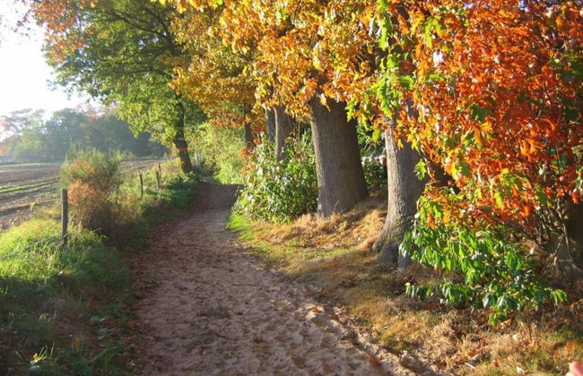 Modern Chalet With Nice Sliding Doors Near Lochem - Foto 33