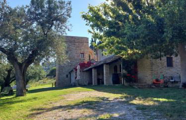 Pietra Antica Agriturismo - Foto 13