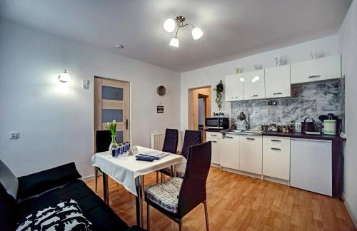 Apartamenty Bieszczady - Foto 20