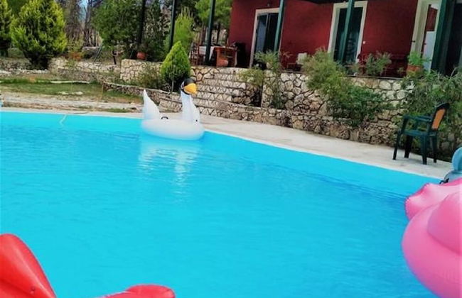 Villa Elatia - Foto 29