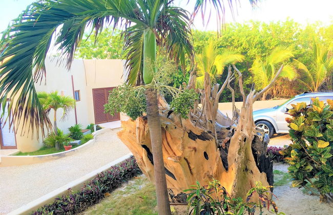 Costa Maya Villas Luxury Condos - Photo 44