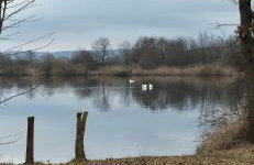 Ferienwohnung Jasmin - Photo 25