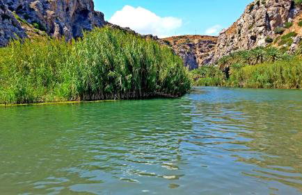 Sunrise Residence - Foto 90