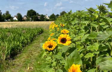 liten lind - Ferienwohnung in Sahlenburg - Foto 5
