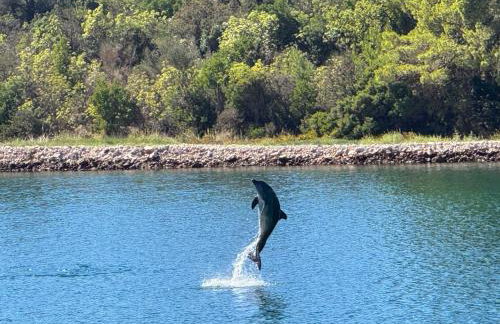 Kuća Mali Raj - Little Paradise - Foto 53