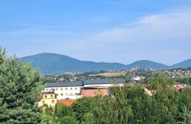 Noclegi Mieszkanie Kuchnia Żywiec - Foto 16