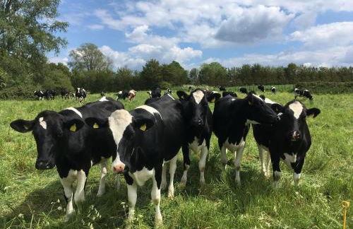 Nunney Lodge - Foto 24