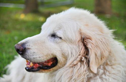 Agriturismo Flabeto - Foto 72