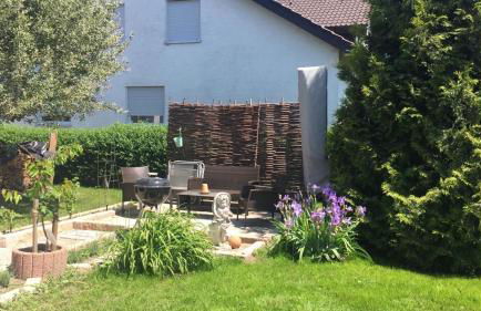 Jawa Organik - Foto 15