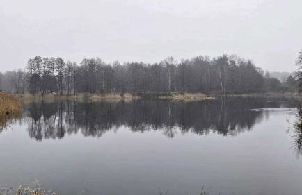 Dom za wydmą - Foto 75