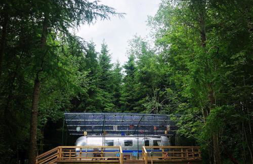 Ayrshire Airstream - Foto 15