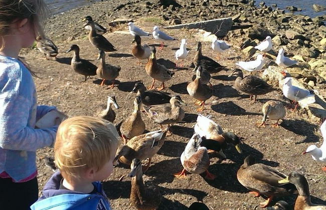 Amazing Unique Five-Star Waterfront Retreat - Foto 29