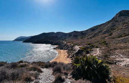 Casa Mostaza Cristal - Foto 42