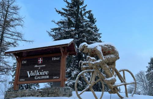 Chalet du Galibier Valloire - Foto 46