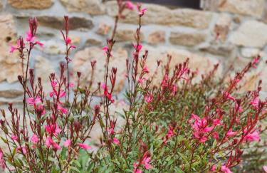 Calme et confort, charmante longère bretonne - Foto 32