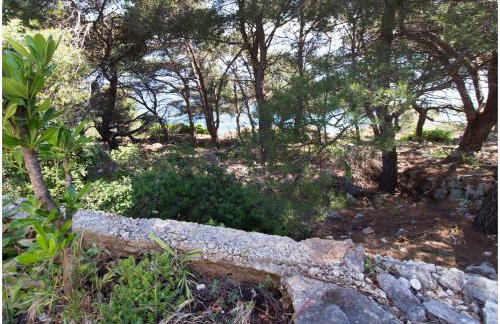 Apartments FRAGOLINA - Photo 20