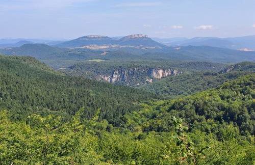 Suite Curry - Photo 18