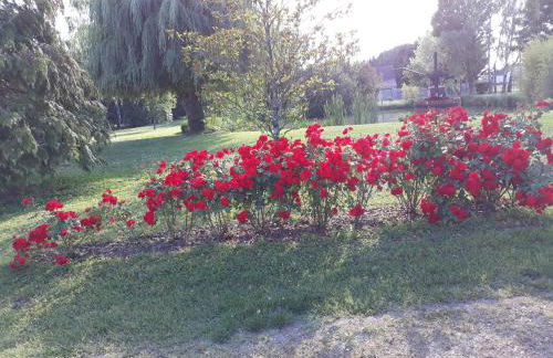 Les Roseaux Comme à la maison prés des châteaux de la Loire - Foto 12