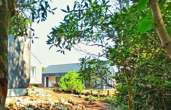 Casas do Morgadio - azorean wine & lodge - Photo 18