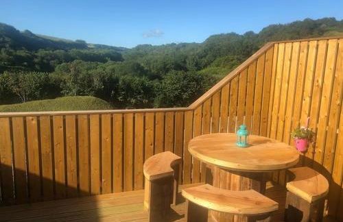 Meadow Cottage. Pretty modern cottage close to Woolacombe and Lee - Foto 9