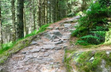 Blackforest Apartment - Foto 39