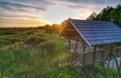 SZUMI ROSA - Foto 79