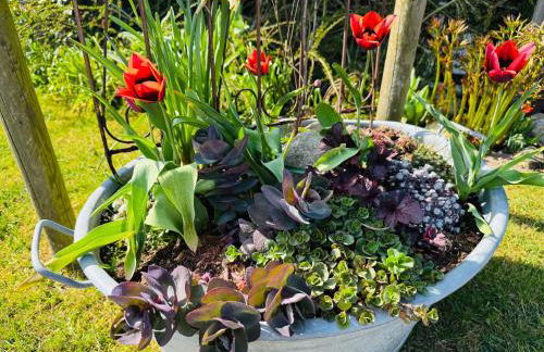 Altländer Obsthof - Photo 33