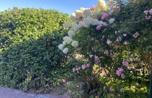 Ferien im Wangerland Ferienwohnung LEUCHTTURM Minsen Schillig Hund Pool Sauna - Photo 20