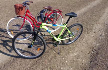 Ruralna kuća za odmor LOVRAK - Foto 22