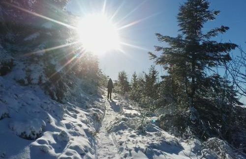 Ferienwohnung Waldrausch - Foto 9