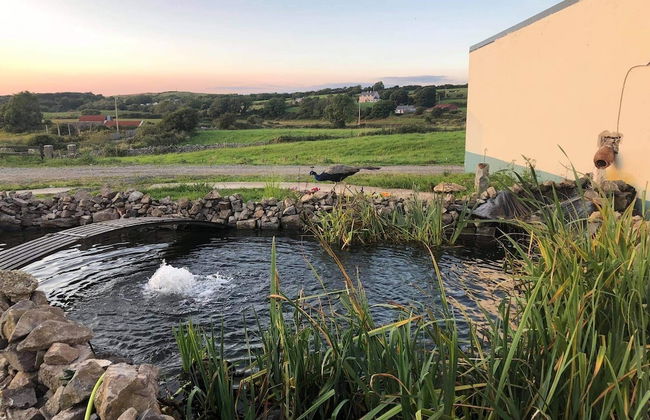 Farm Stay Property Pets and Families Welcome - Foto 32