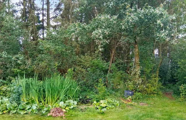 4 Person Holiday Home in Bording - Foto 27