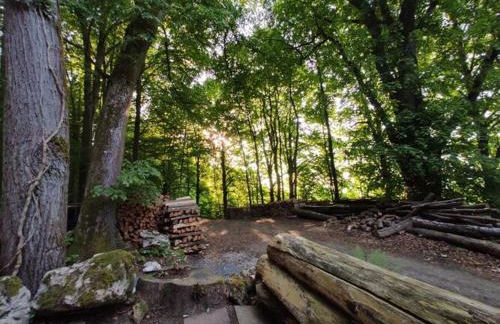 Holiday home Waldhaus Edelweiss - Foto 15