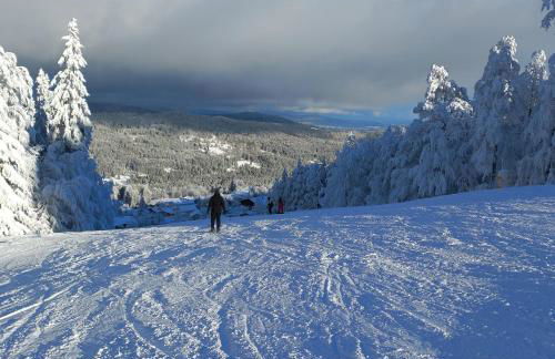 Apartements 270-275 Mitterdorf - Foto 18