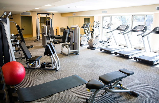 Global Luxury Suites at Marina Del Rey - Foto 55