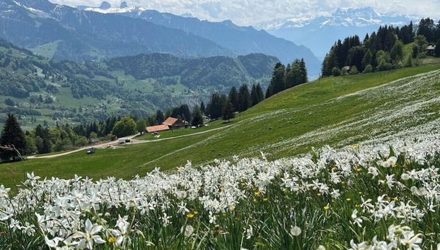 La Vigneronne, Tuin - Foto 4, Pool